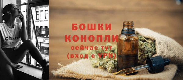 mix Рославль