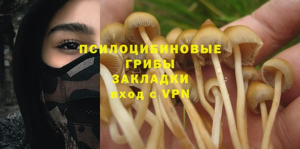 mix Рославль