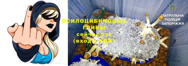 герыч Алексин